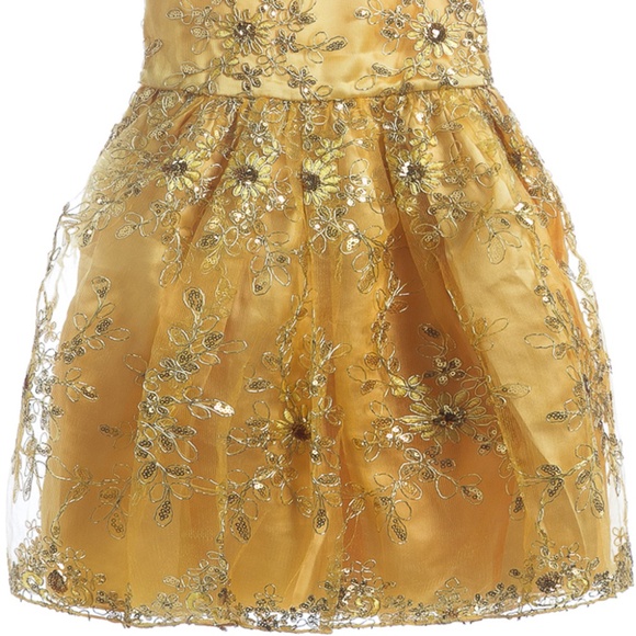 NEW Little Girls Fluffy Ruffled Tulle Gold Party Dress with intricate design - Picture 2 of 4